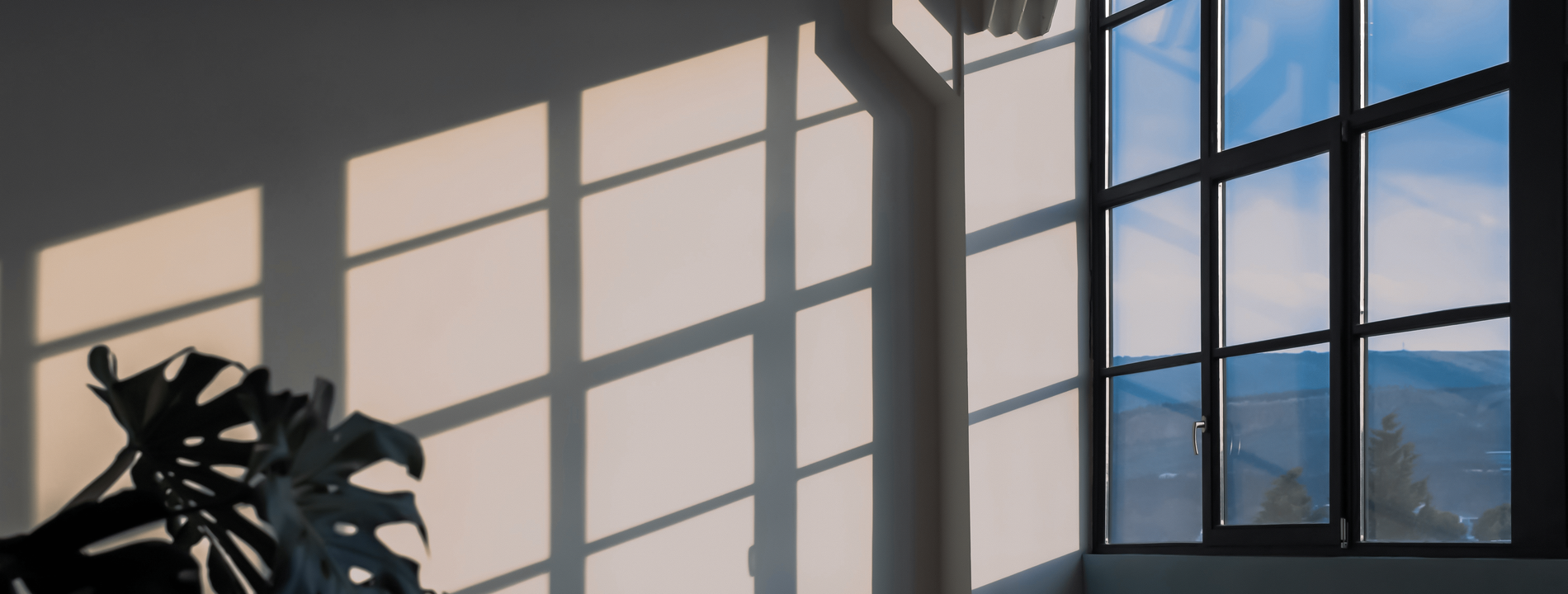 Revive Renovation Co.